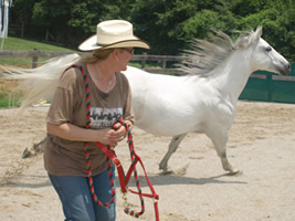 Fran and Jacks Grey Boy